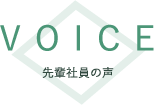 先輩社員の声